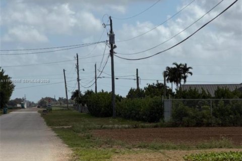 Купить земельный участок в Хомстед, Флорида № 2050064 - фото 7