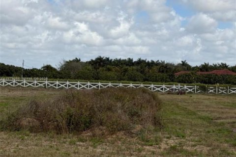 Купить земельный участок в Хомстед, Флорида № 2050064 - фото 2