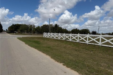 Купить земельный участок в Хомстед, Флорида № 2050064 - фото 10
