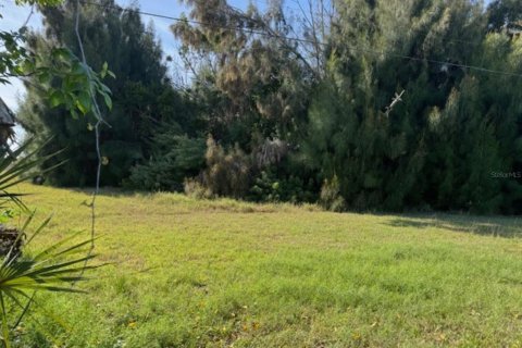 Land in Placida, Florida № 2155618