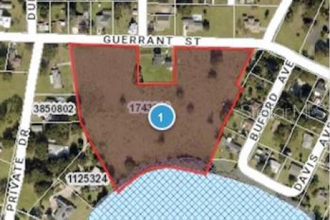 Land in Umatilla, Florida № 1578156 - photo 6