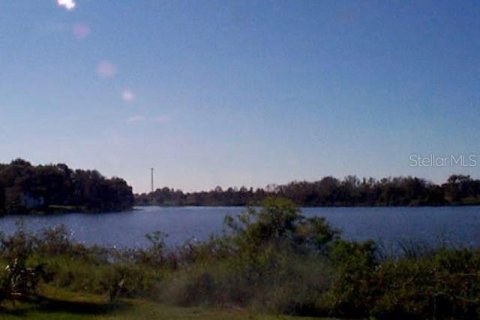 Land in Umatilla, Florida № 1578156 - photo 3
