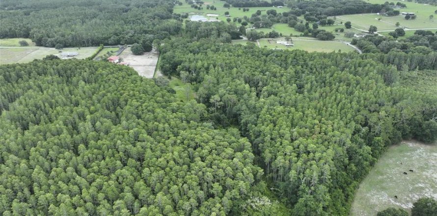 Terreno en Groveland, Florida № 1813115