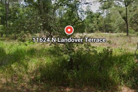 Land in Dunnellon, Florida № 2161923 - photo 2