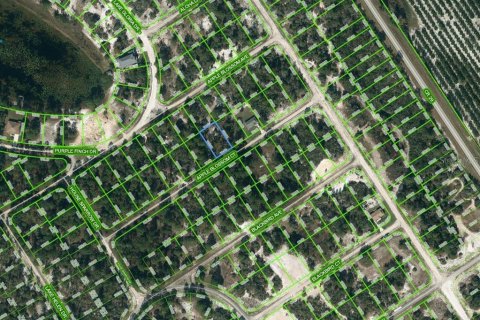 Land in Lake Placid, Florida № 2236248