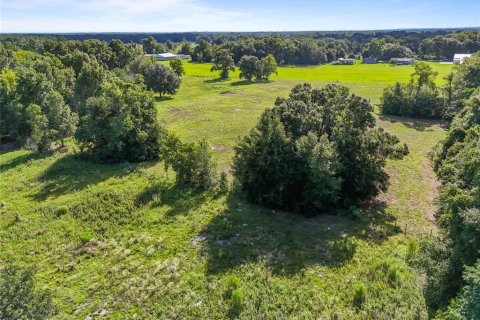 Land in Archer, Florida № 1837101 - photo 5