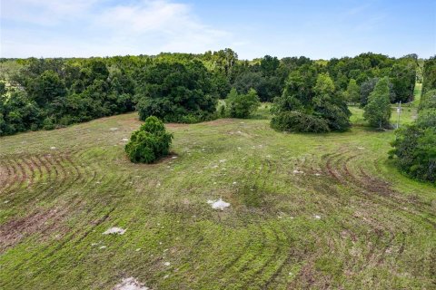 Land in Archer, Florida № 1837101 - photo 13