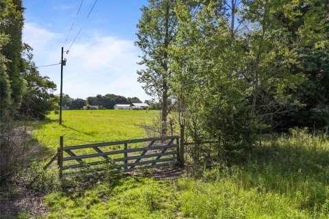 Land in Archer, Florida № 1837101 - photo 7