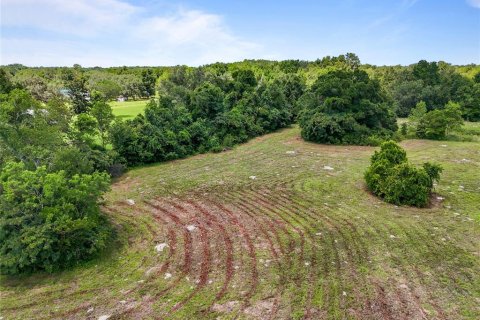 Land in Archer, Florida № 1837101 - photo 14