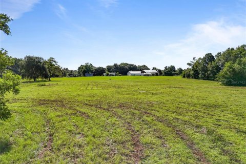 Land in Archer, Florida № 1837101 - photo 8