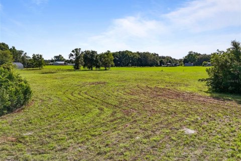 Land in Archer, Florida № 1837101 - photo 9