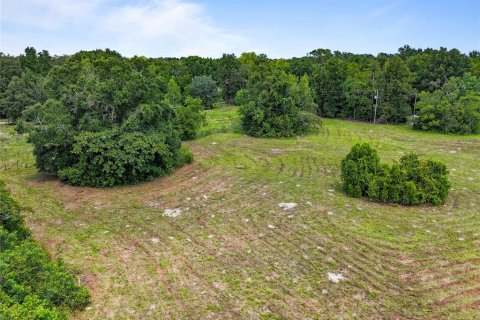 Land in Archer, Florida № 1837101 - photo 12