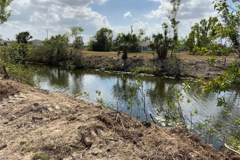 Land in Cape Coral, Florida № 362414 - photo 7