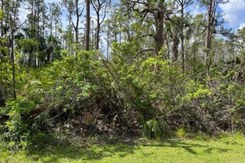 Land in Punta Gorda, Florida № 2165278