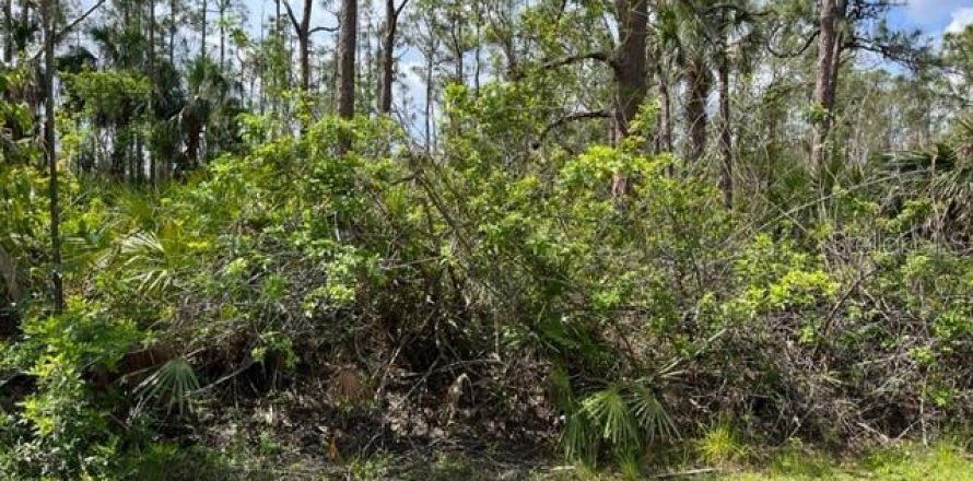 Land in Punta Gorda, Florida № 2165278