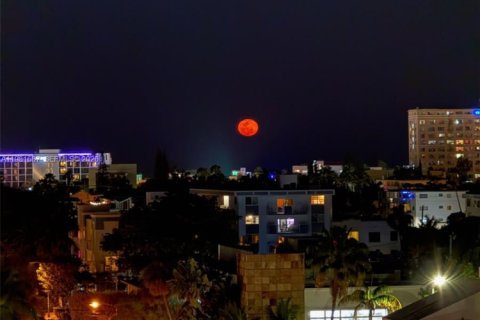 Copropriété à louer à Miami Beach, Floride: 1 chambre, 90.02 m2 № 2042995 - photo 4