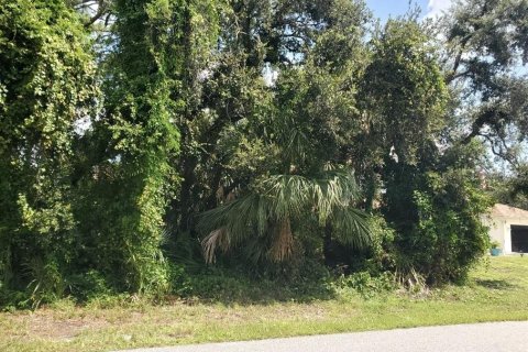 Terreno en venta en North Port, Florida № 2224248 - foto 5