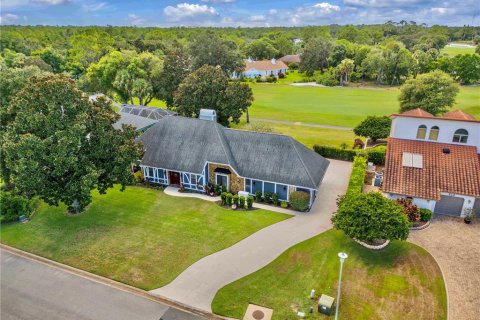 Villa ou maison à vendre à New Smyrna Beach, Floride: 4 chambres, 253.9 m2 № 1888637 - photo 11