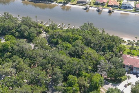 Commercial property in Palm Coast, Florida 202.06 sq.m. № 1733594 - photo 20