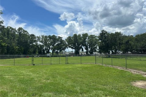 Land in Lakeland, Florida № 1794959 - photo 5