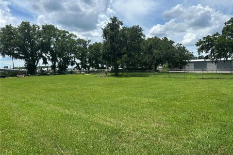 Land in Lakeland, Florida № 1794959 - photo 6
