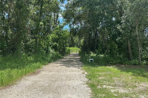 Land in Lakeland, Florida № 1794959 - photo 8
