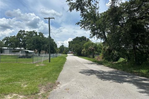 Land in Lakeland, Florida № 1794959 - photo 7