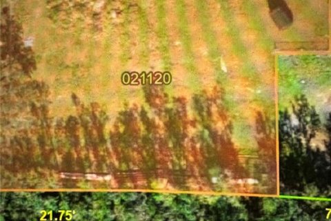 Land in Lakeland, Florida № 1794959 - photo 1