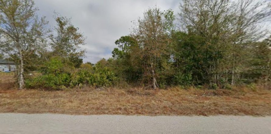 Land in Punta Gorda, Florida № 2162434
