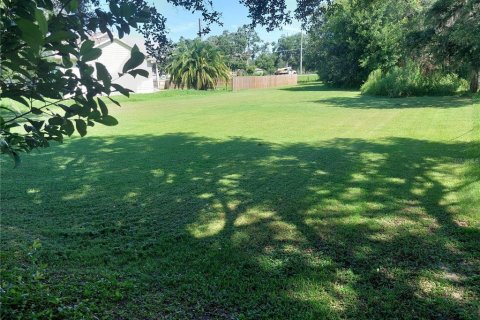 Land in Dade City, Florida № 1795478 - photo 4