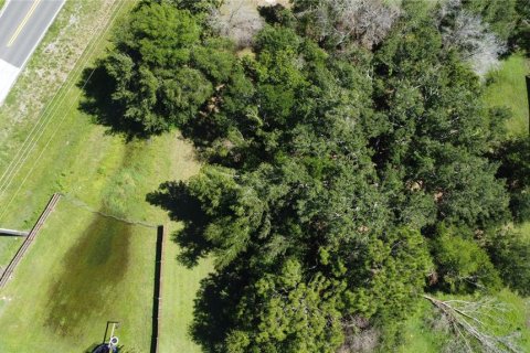 Land in Dade City, Florida № 1795478 - photo 8
