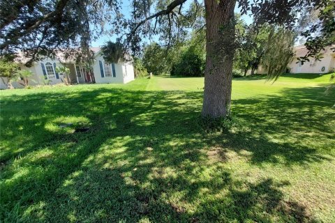 Land in Dade City, Florida № 1795478 - photo 2