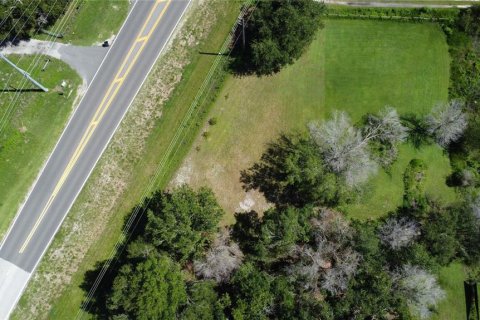 Land in Dade City, Florida № 1795478 - photo 7