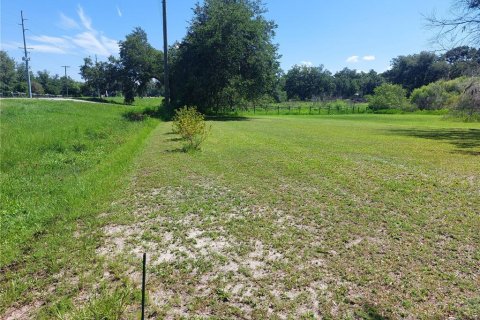 Land in Dade City, Florida № 1795478 - photo 10