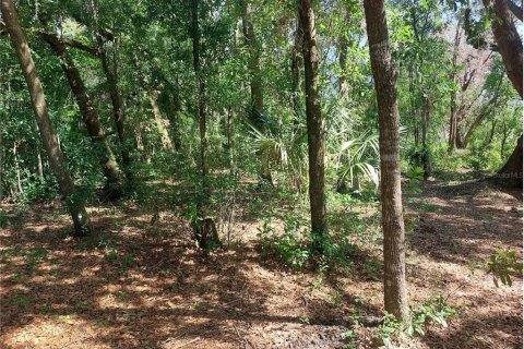 Land in Dade City, Florida № 1795478 - photo 9