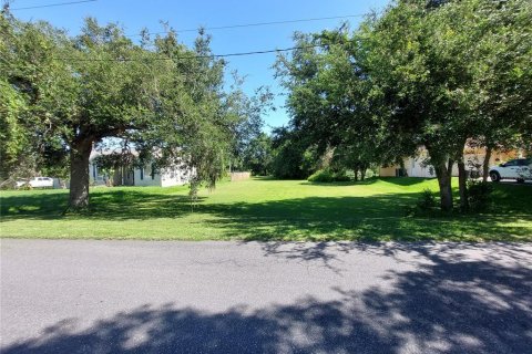 Land in Dade City, Florida № 1795478 - photo 1
