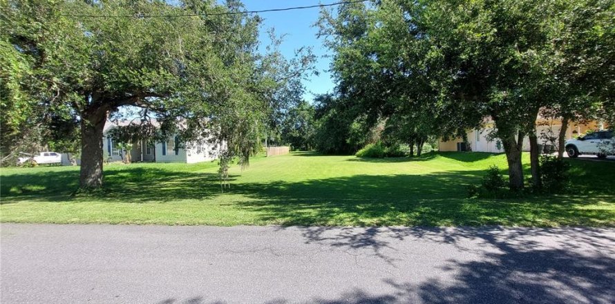 Land in Dade City, Florida № 1795478