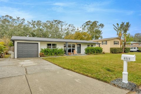 Villa ou maison à vendre à Tampa, Floride: 4 chambres, 154.68 m2 № 1849690 - photo 1