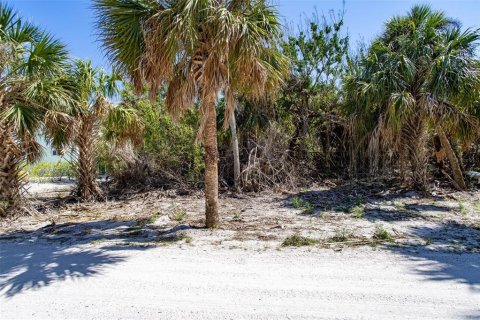 Land in Placida, Florida № 1810597 - photo 1