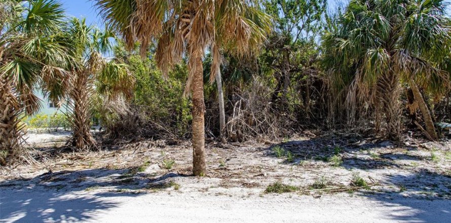Land in Placida, Florida № 1810597