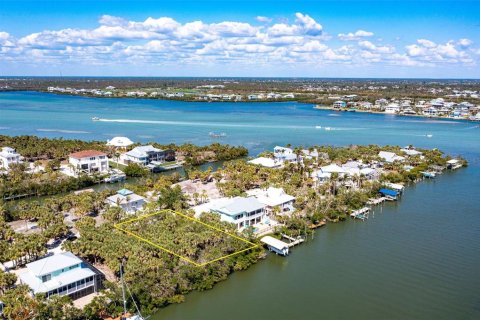 Land in Placida, Florida № 1810597 - photo 4