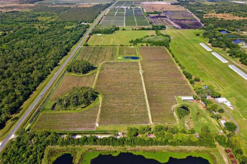 Land in Mount Dora, Florida № 2408403 - photo 5