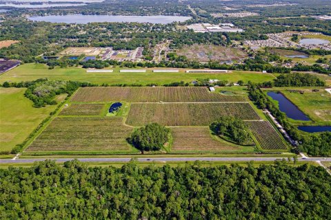 Land in Mount Dora, Florida № 2408403 - photo 12