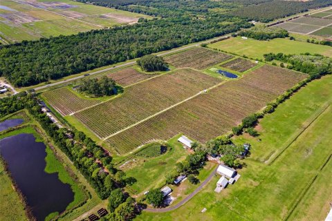 Land in Mount Dora, Florida № 2408403 - photo 6