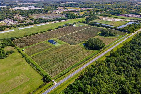 Land in Mount Dora, Florida № 2408403 - photo 3