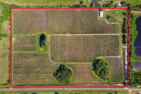 Land in Mount Dora, Florida № 2408403 - photo 2