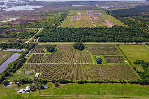 Land in Mount Dora, Florida № 2408403 - photo 7