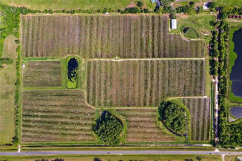 Land in Mount Dora, Florida № 2408403 - photo 10