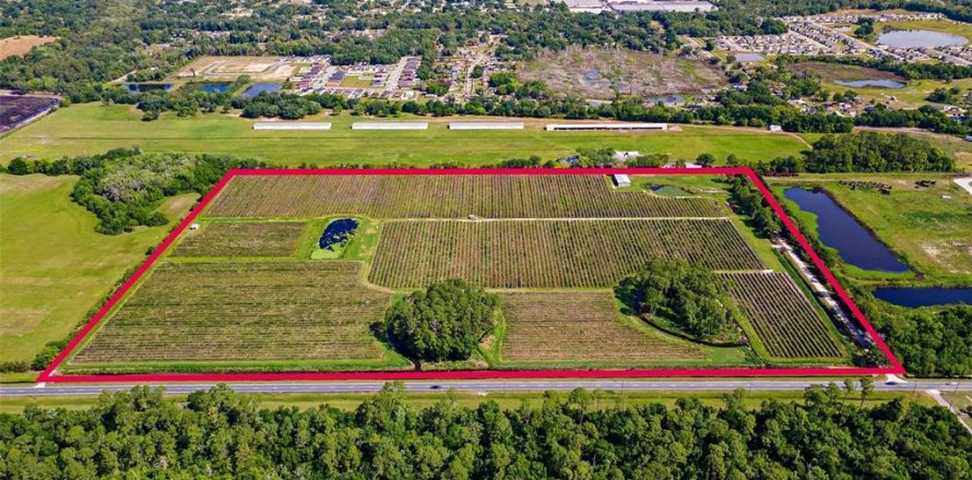 Land in Mount Dora, Florida № 2408403