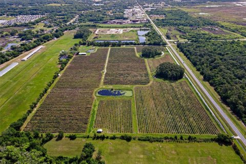 Land in Mount Dora, Florida № 2408403 - photo 9